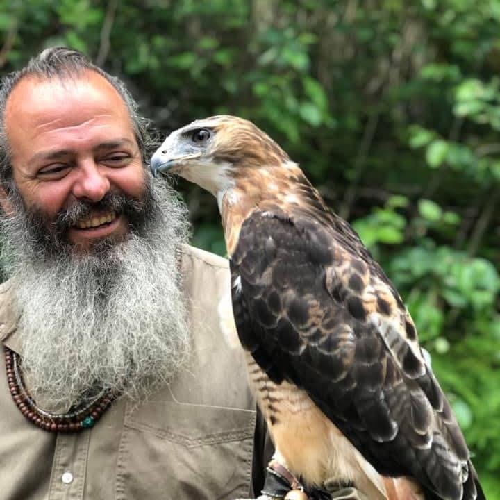 Mario Benassi, Avian Curator